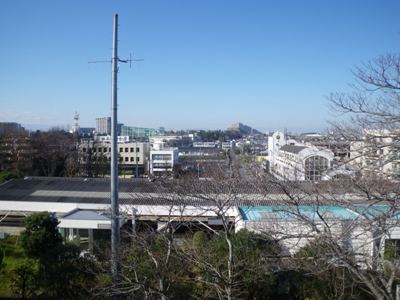 QSU猩w
